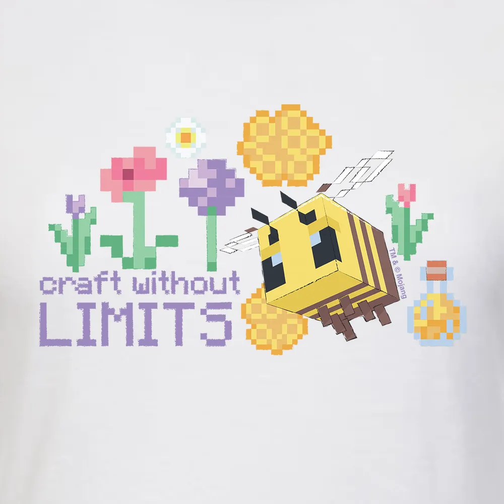 Minecraft Craft Without Limits Women's Short Sleeve T-Shirt